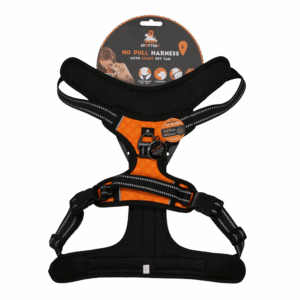 Spotted! Pro No Pull Harnas Oranje L