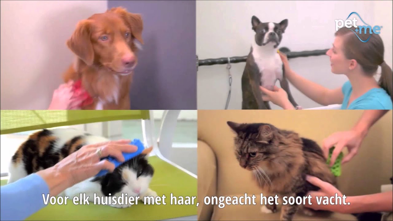 Pet+Me Dog Hair Brush Lang haar Rood 2025 Pet+Me Dog Hair Brush Lang haar Rood - Afbeelding 6