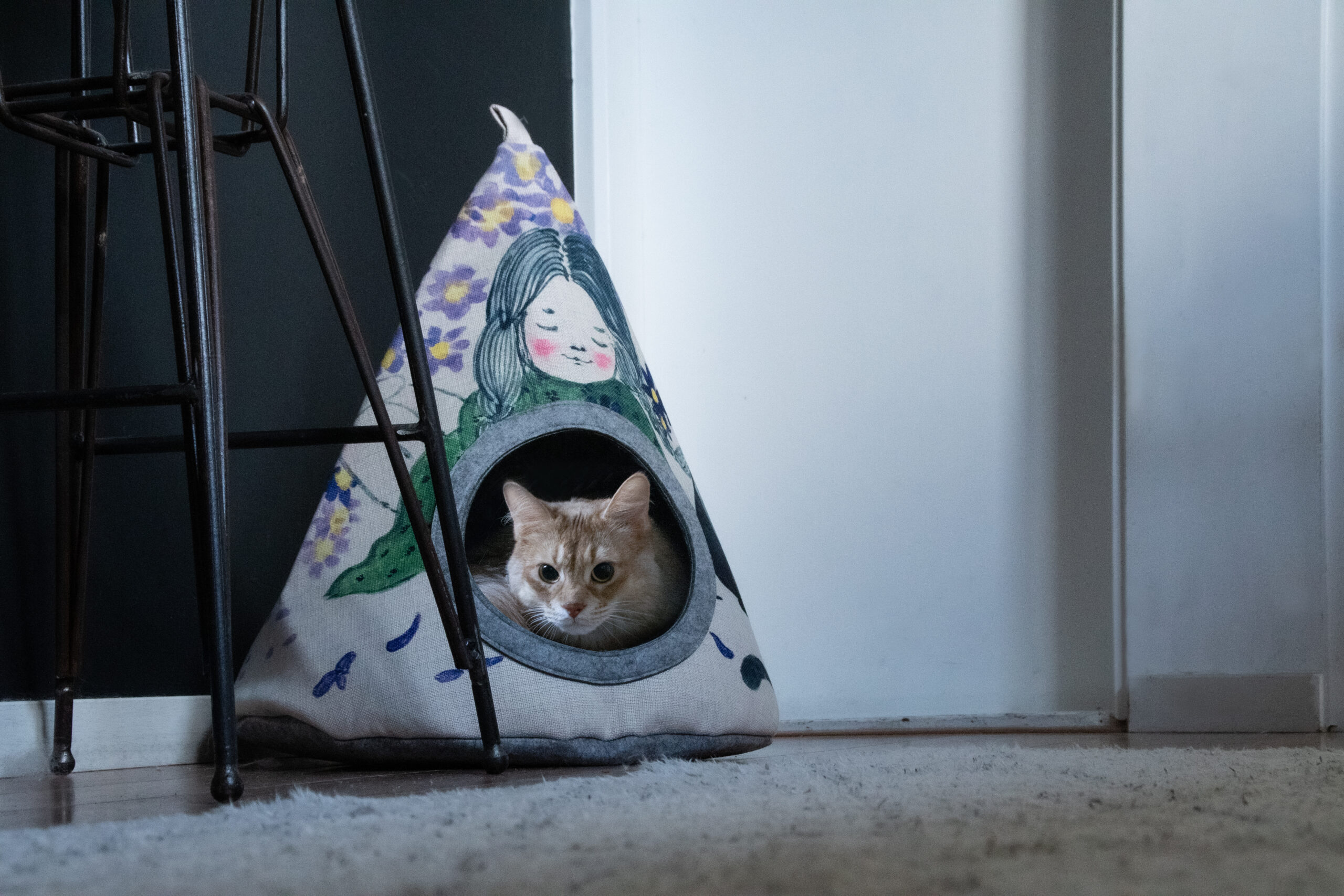 Takara Tipi Violet Flower 2025 Takara Tipi Violet Flower - Afbeelding 3