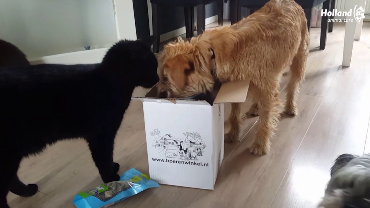 Braaaf Twister Rolls 2025 Braaaf Twister Rolls - Afbeelding 6