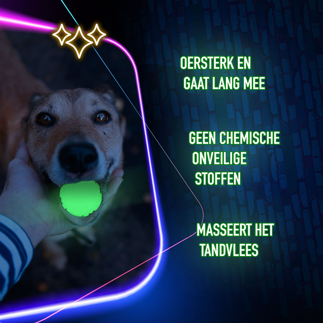 2 Glow Bone of it's Own 2025 2 Glow Bone of it's Own - Afbeelding 6