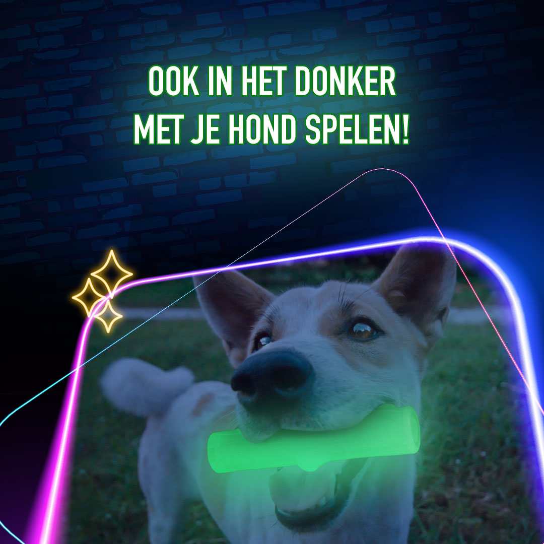 2 Glow Tear the Square 2026 2 Glow Tear the Square - Afbeelding 5