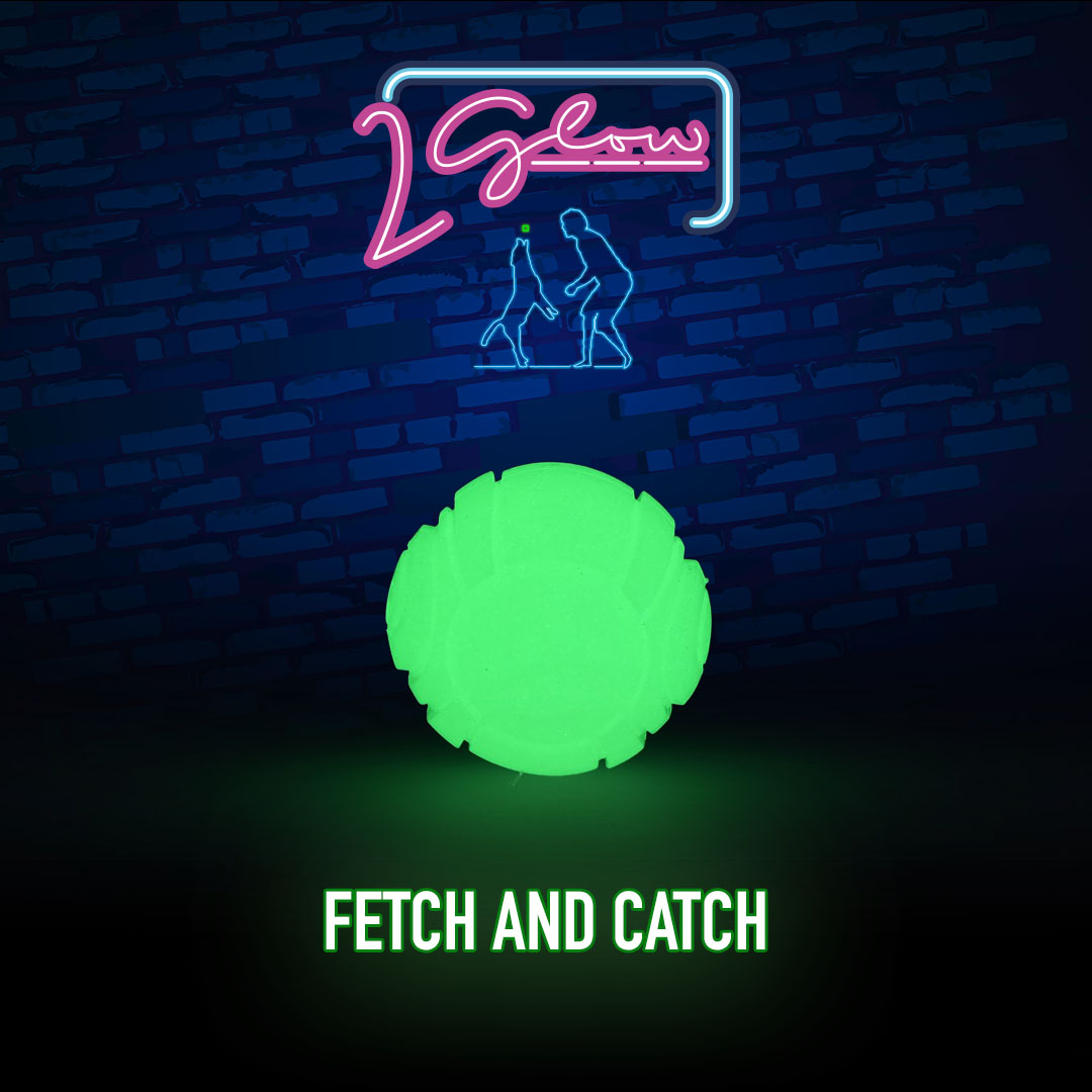 2 Glow Fetch & Play 2025 2 Glow Fetch & Play - Afbeelding 2