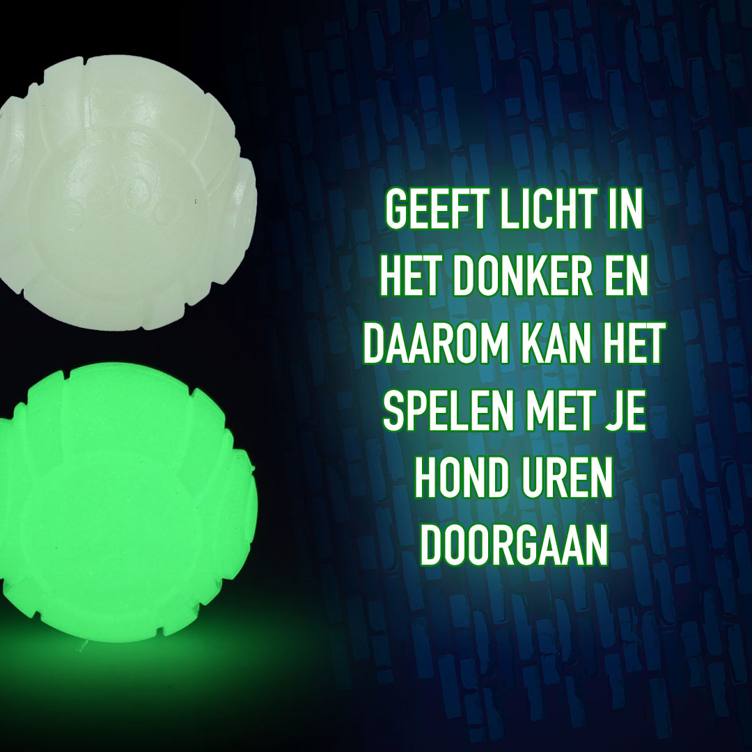 2 Glow Fetch & Play 2025 2 Glow Fetch & Play - Afbeelding 3