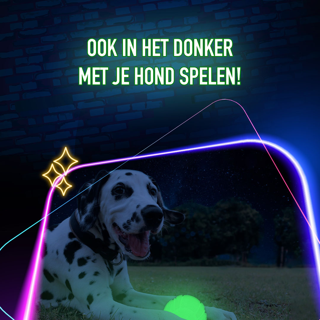 2 Glow Fetch & Play 2025 2 Glow Fetch & Play - Afbeelding 4