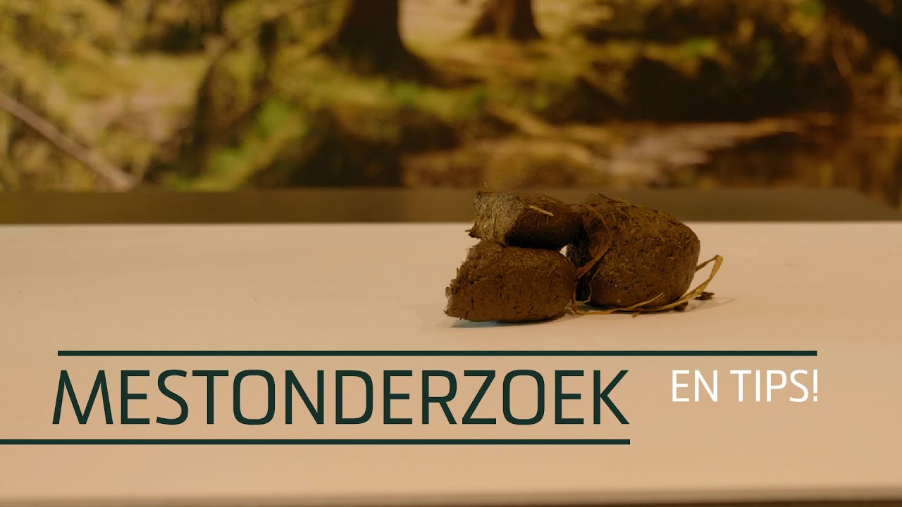 Excellent Horse Herbs Vlozaad 1,2 kg 2025 Excellent Horse Herbs Vlozaad 1,2 kg - Afbeelding 2