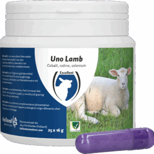 Excellent Uno Lam 25 x 16 g