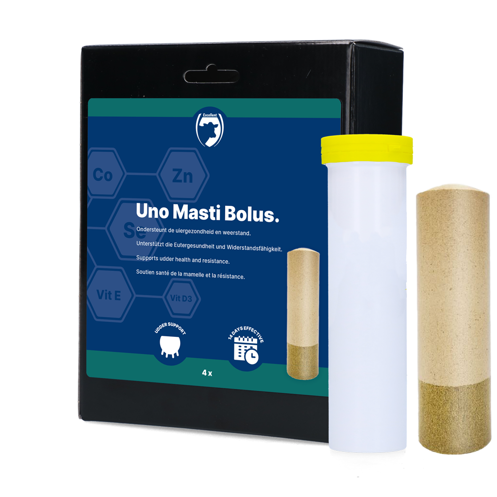 Excellent Uno Masti Bolus 4 stuks 2025 Excellent Uno Masti Bolus 4 stuks