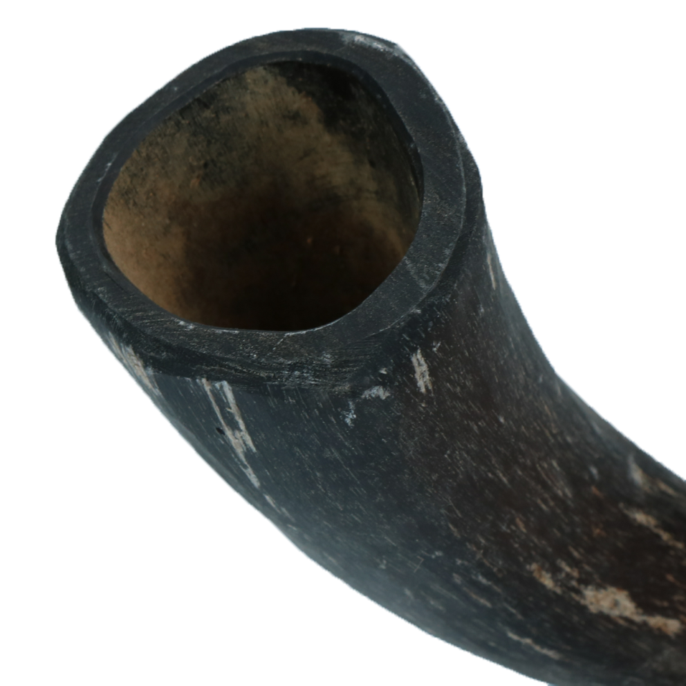 Viking Horn Whole S 2025 Viking Horn Whole S - Afbeelding 3
