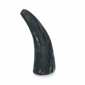 Viking Horn Whole S