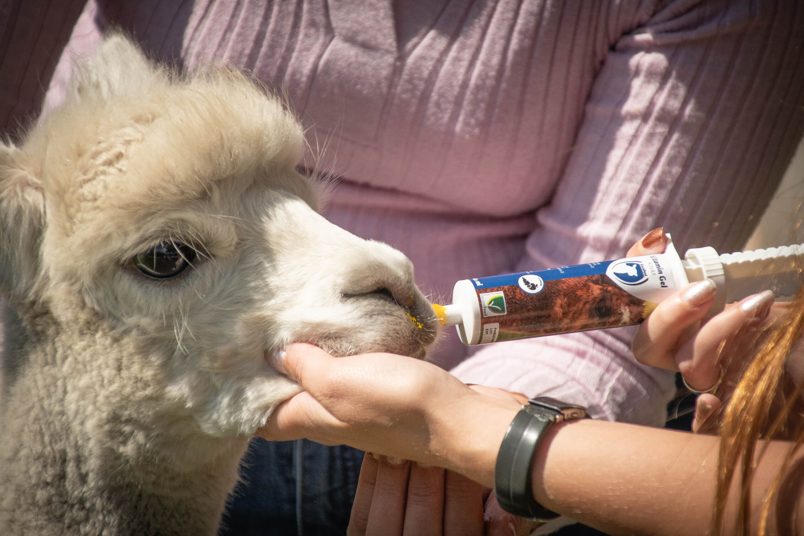 Excellent Vitamine Gel (A, D3 & E) 60 ml 2025 Excellent Vitamine Gel (A, D3 & E) 60 ml - Afbeelding 3