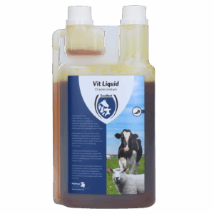 Excellent Vit Liquid Multivitamine 1 l