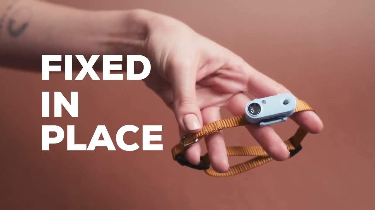 Tickless Mini Dog Oplaadbaar Zwart 2025 Tickless Mini Dog Oplaadbaar Zwart - Afbeelding 2