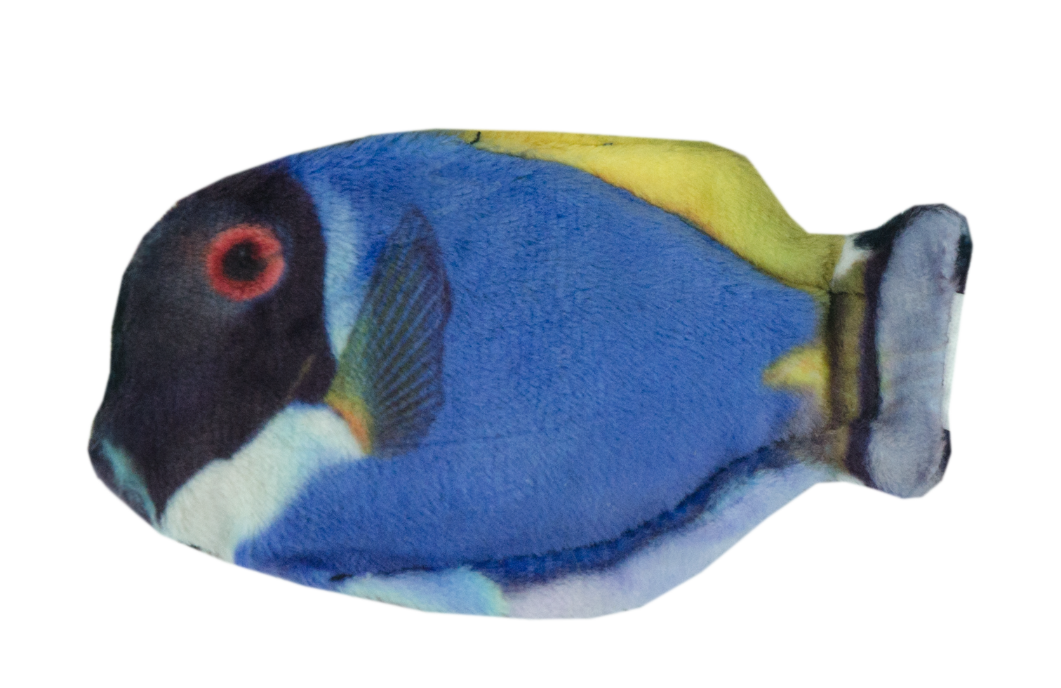 Wild Life Cat Blauwe Doktersvis 2025 Wild Life Cat Blauwe Doktersvis - Afbeelding 2