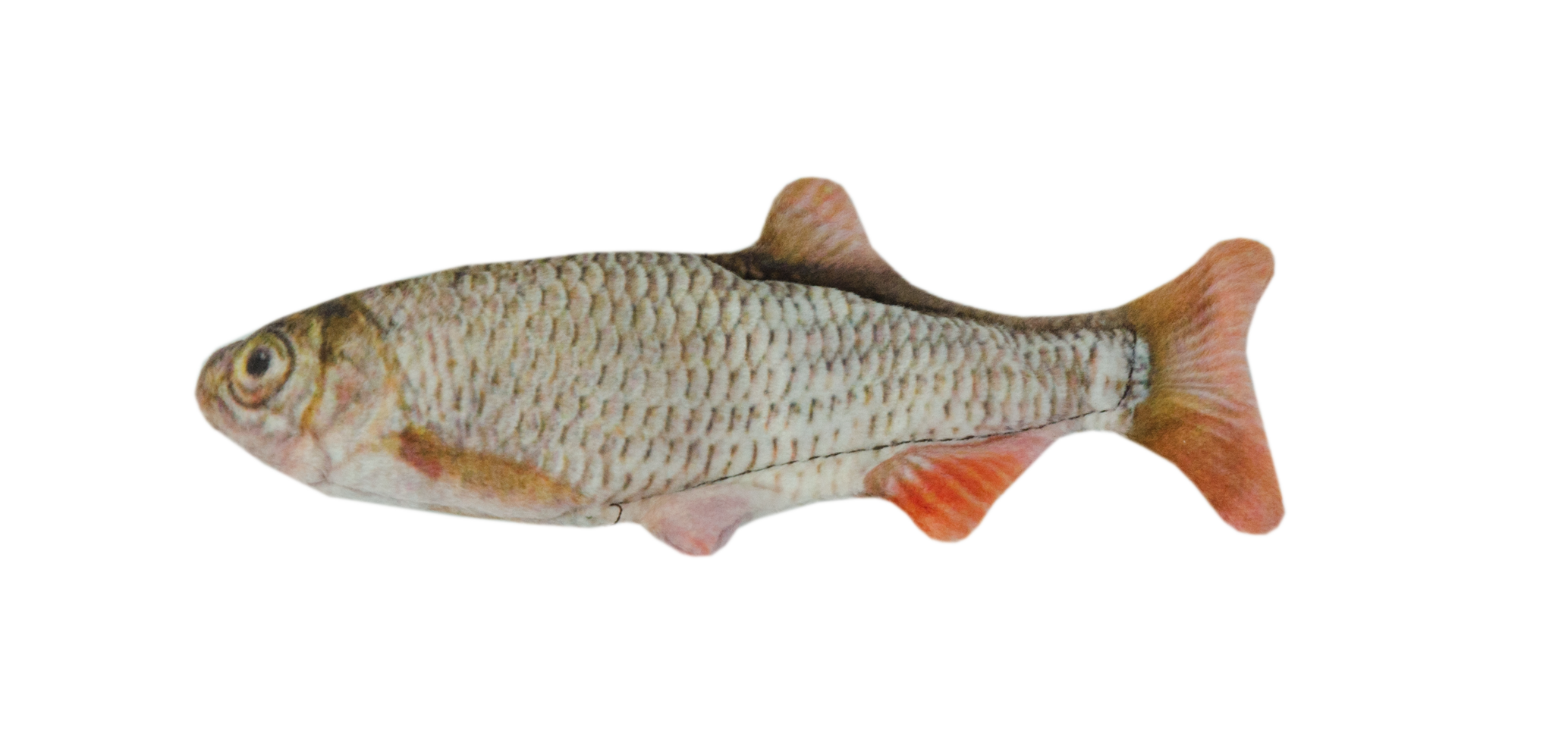 Wild Life Cat Voorn 2025 Wild Life Cat Voorn - Afbeelding 2