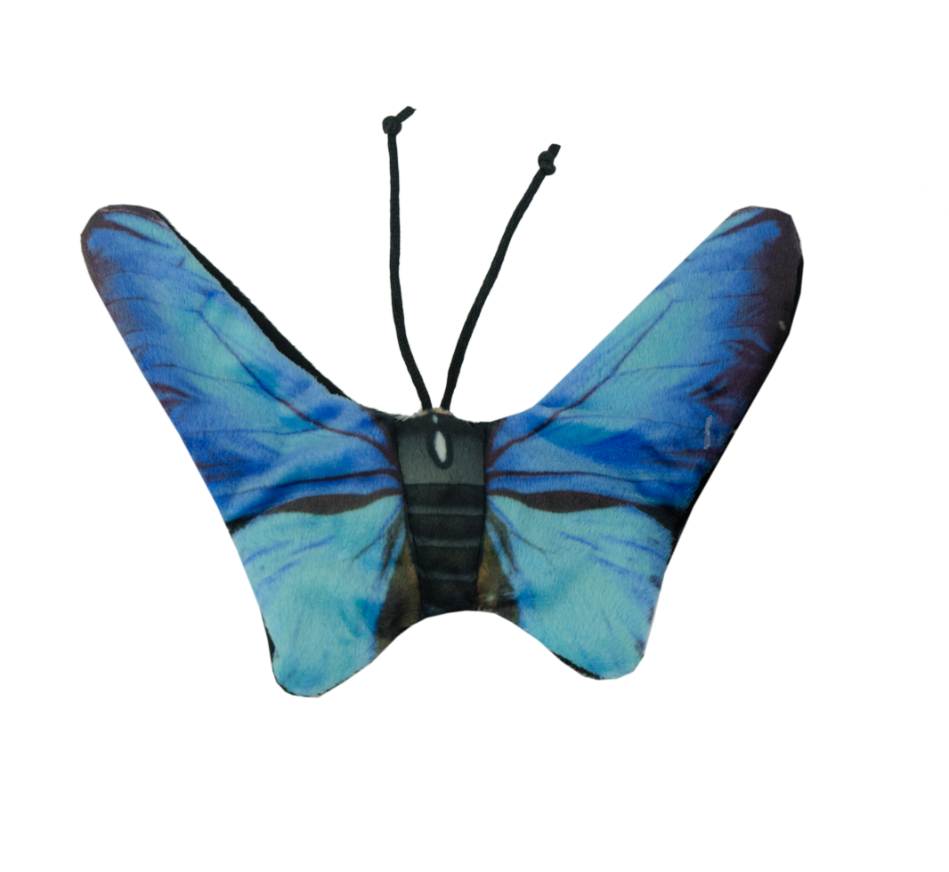 Wild Life Cat Blauwe Vlinder 2025 Wild Life Cat Blauwe Vlinder - Afbeelding 2