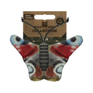 Wild Life Cat Dagpauwoog