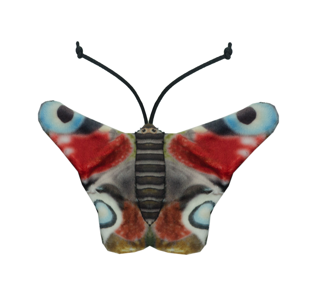 Wild Life Cat Dagpauwoog 2025 Wild Life Cat Dagpauwoog - Afbeelding 2