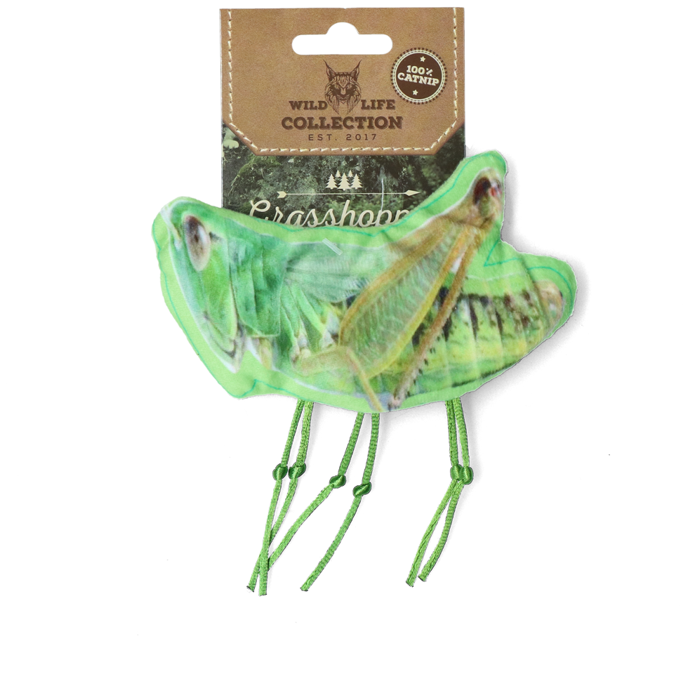 Wild Life Cat Sprinkhaan 2025 Wild Life Cat Sprinkhaan