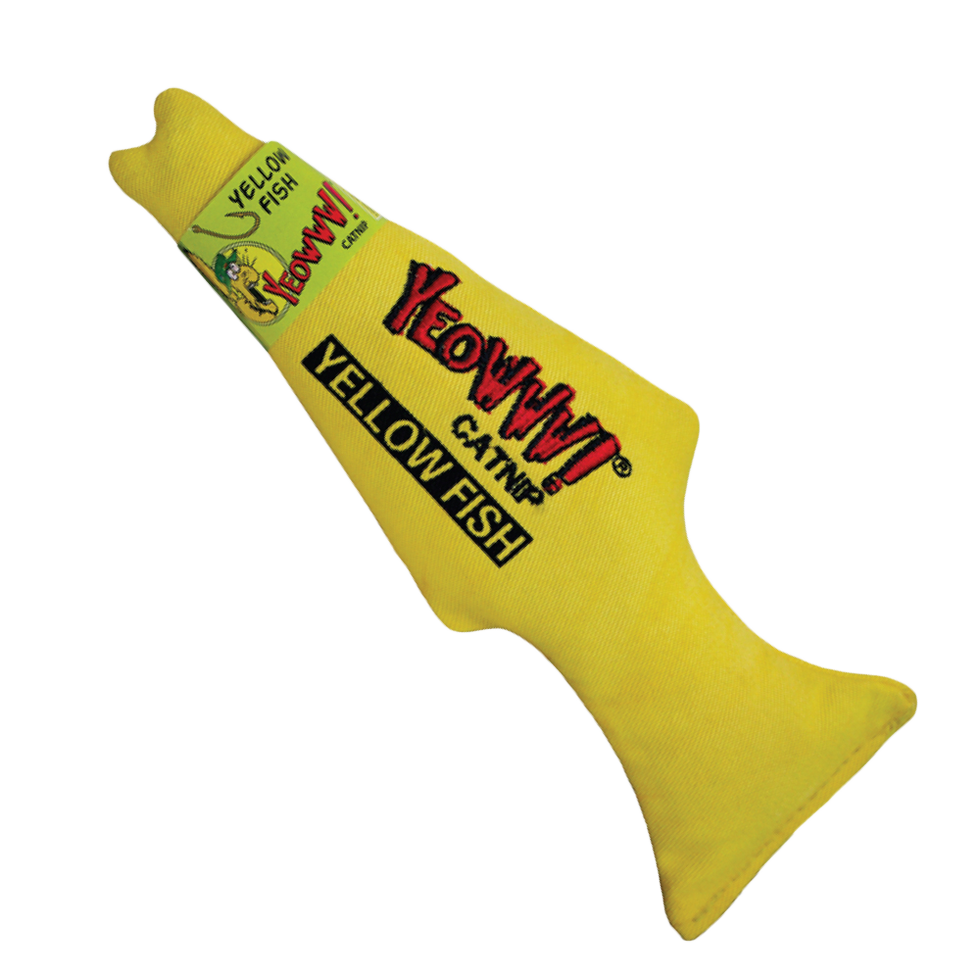 Yeowww! Yellow Fish 2025 Yeowww! Yellow Fish