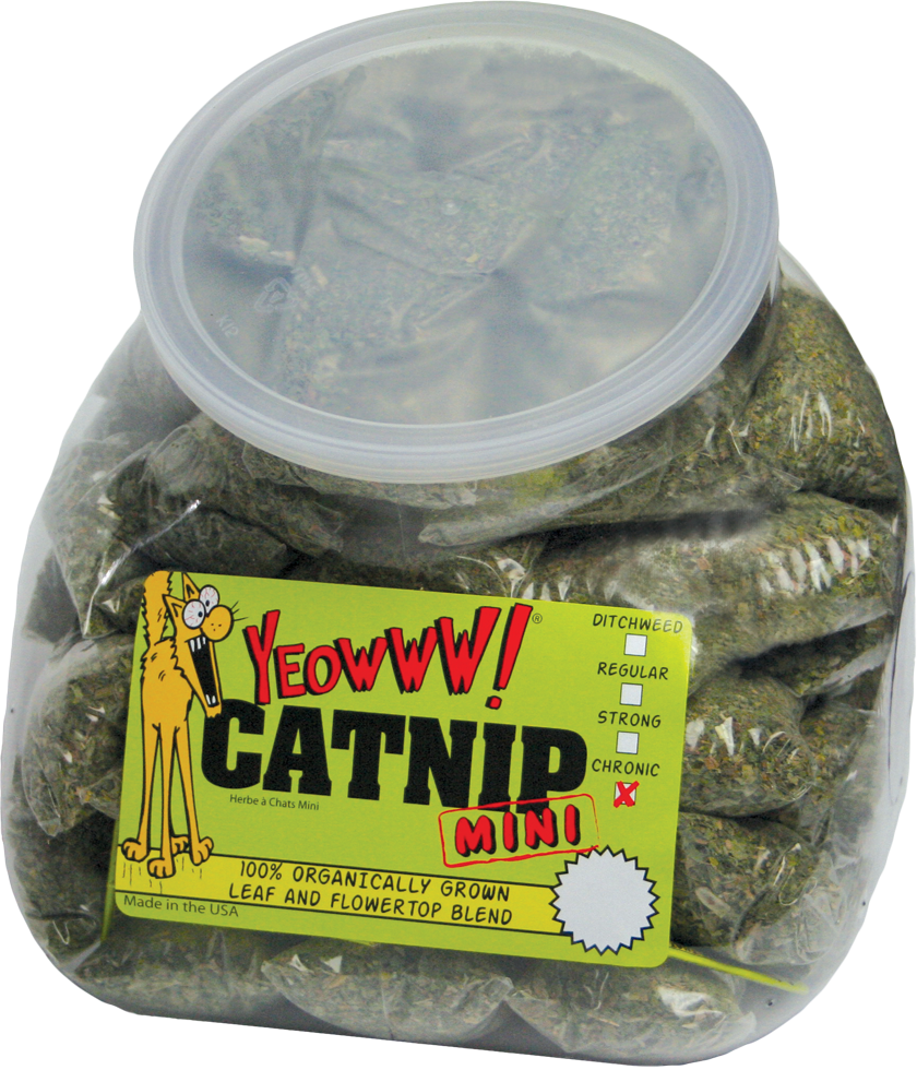 Yeowww! Minis (50 st.) 2025 Yeowww! Minis (50 st.)