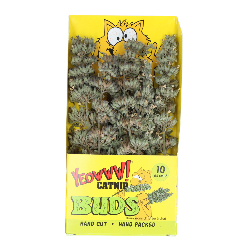 Yeowww! Catnip Buds 2025 Yeowww! Catnip Buds