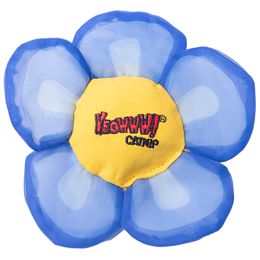 Yeowww! Daisy's Flower Tops Blue 2025 Yeowww! Daisy's Flower Tops Blue