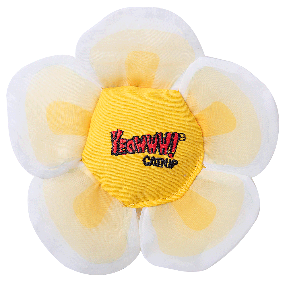 Yeowww! Daisy's Flower Tops White 2025 Yeowww! Daisy's Flower Tops White