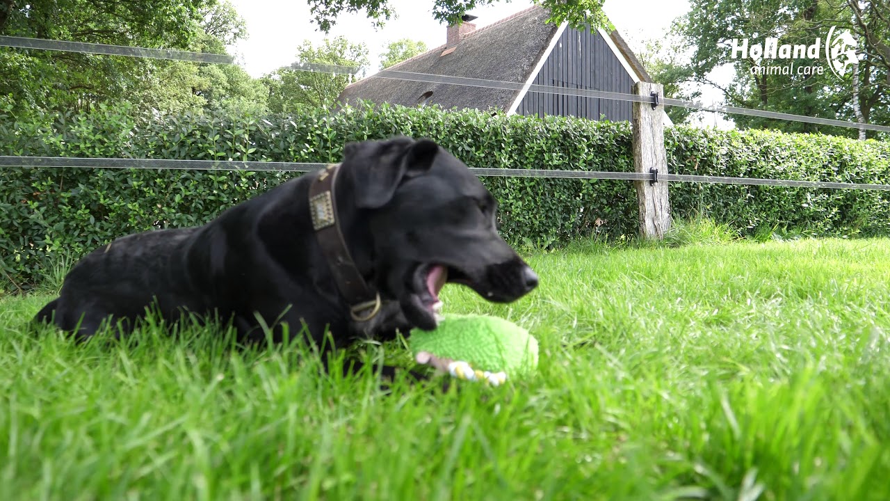 Fuzzle Hedgie Pull Me Rood 2025 Fuzzle Hedgie Pull Me Rood - Afbeelding 5