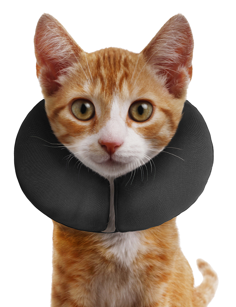 Zenpet ProCollar XS 2025 Zenpet ProCollar XS - Afbeelding 3