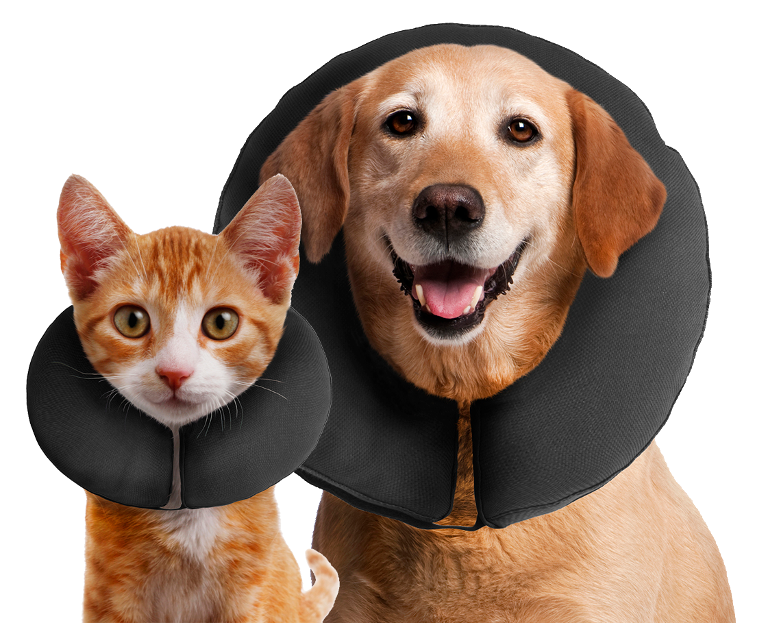 Zenpet ProCollar L 2025 Zenpet ProCollar L - Afbeelding 3