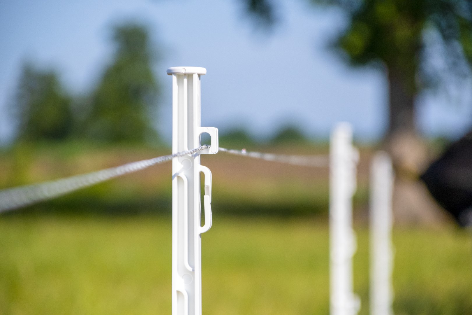 ZoneGuard Plus Afrasteringsdraad 3 mm 400 m 2025 ZoneGuard Plus Afrasteringsdraad 3 mm 400 m - Afbeelding 3