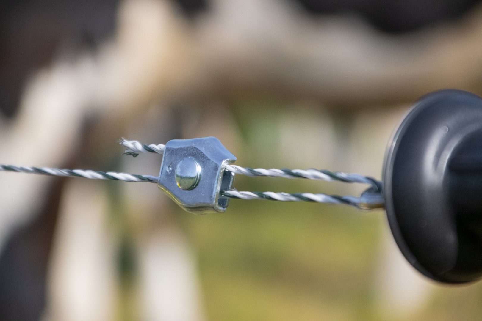 ZoneGuard Plus Afrasteringsdraad 3 mm 400 m 2025 ZoneGuard Plus Afrasteringsdraad 3 mm 400 m - Afbeelding 2