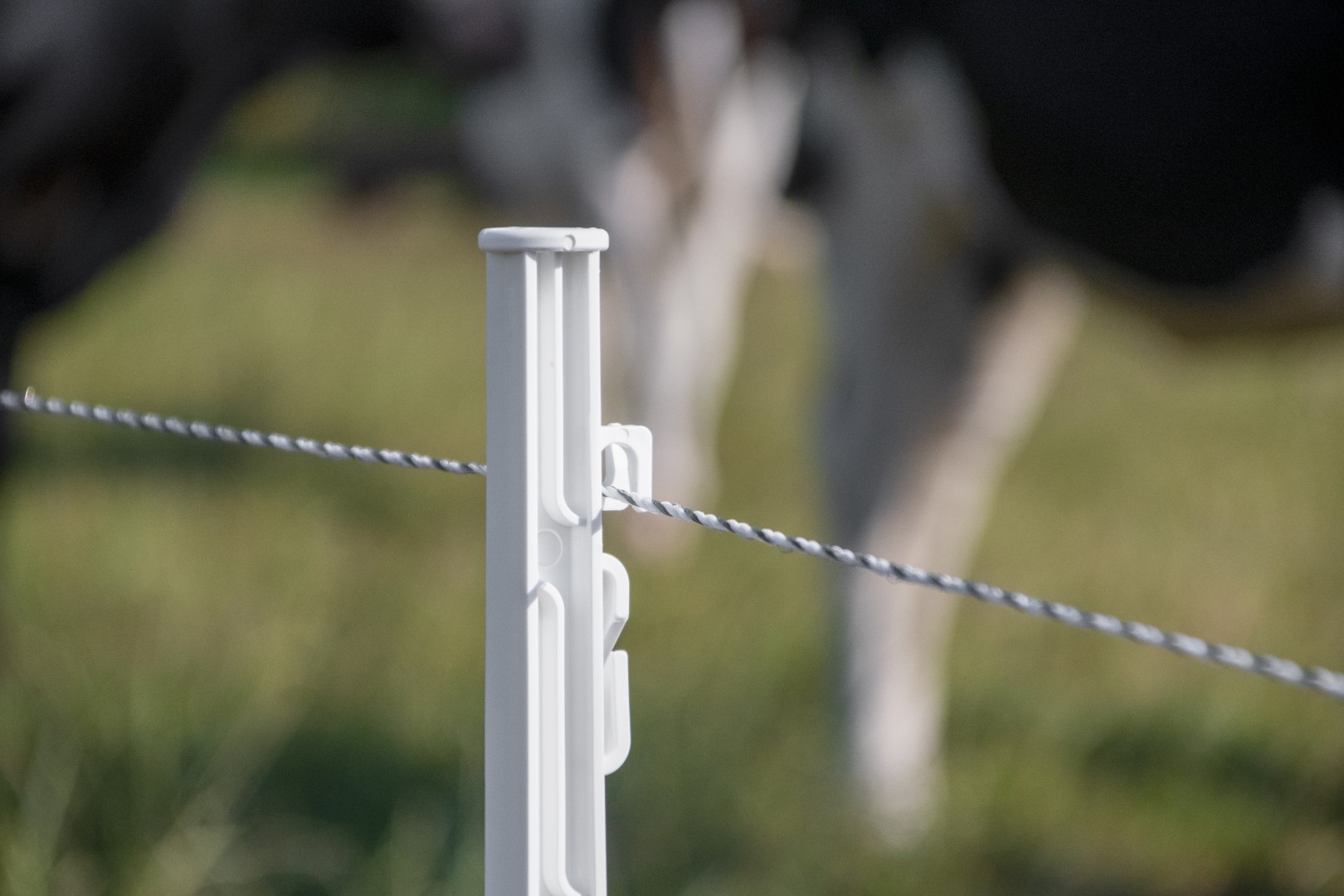 ZoneGuard Plus Afrasteringsdraad 3 mm 400 m 2025 ZoneGuard Plus Afrasteringsdraad 3 mm 400 m - Afbeelding 5