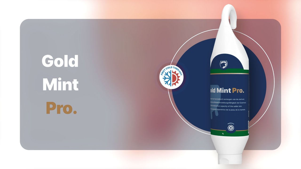 Excellent Gold Mint Pro Hangtube 2,5 l 2025 Excellent Gold Mint Pro Hangtube 2,5 l - Afbeelding 2