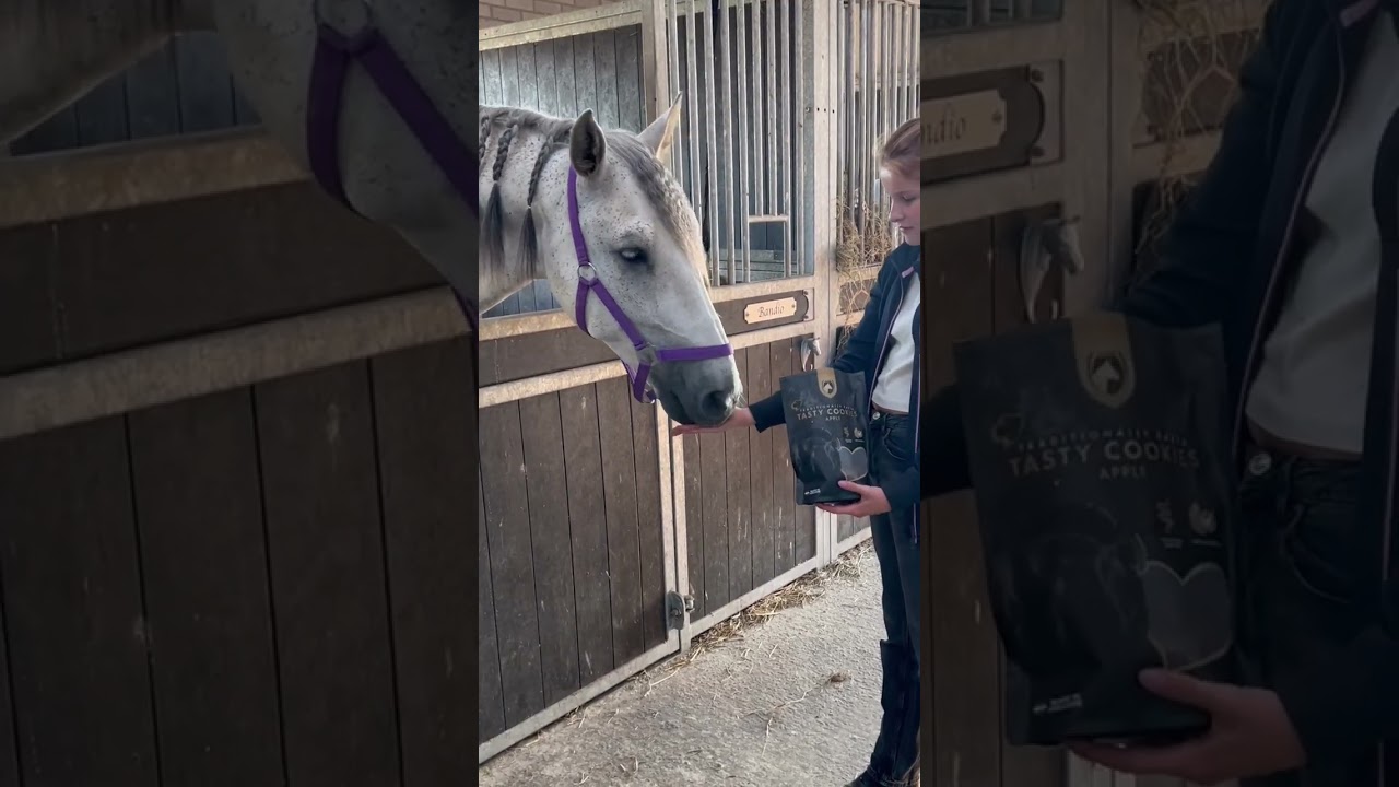 Excellent Horse Ambachtelijke Paardenkoekjes Appel 2025 Excellent Horse Ambachtelijke Paardenkoekjes Appel - Afbeelding 5