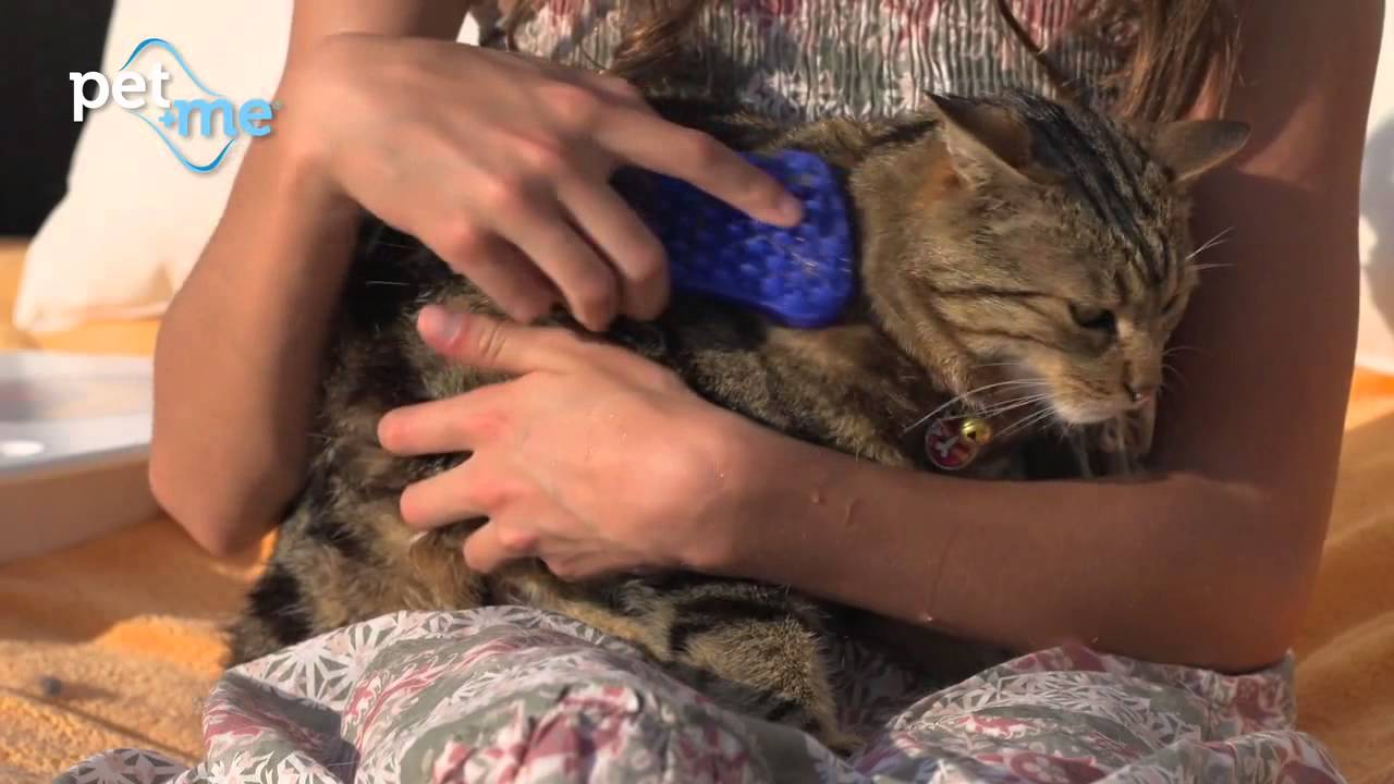 Pet+Me Dog Hair Brush Kort haar Geel 2025 Pet+Me Dog Hair Brush Kort haar Geel - Afbeelding 5