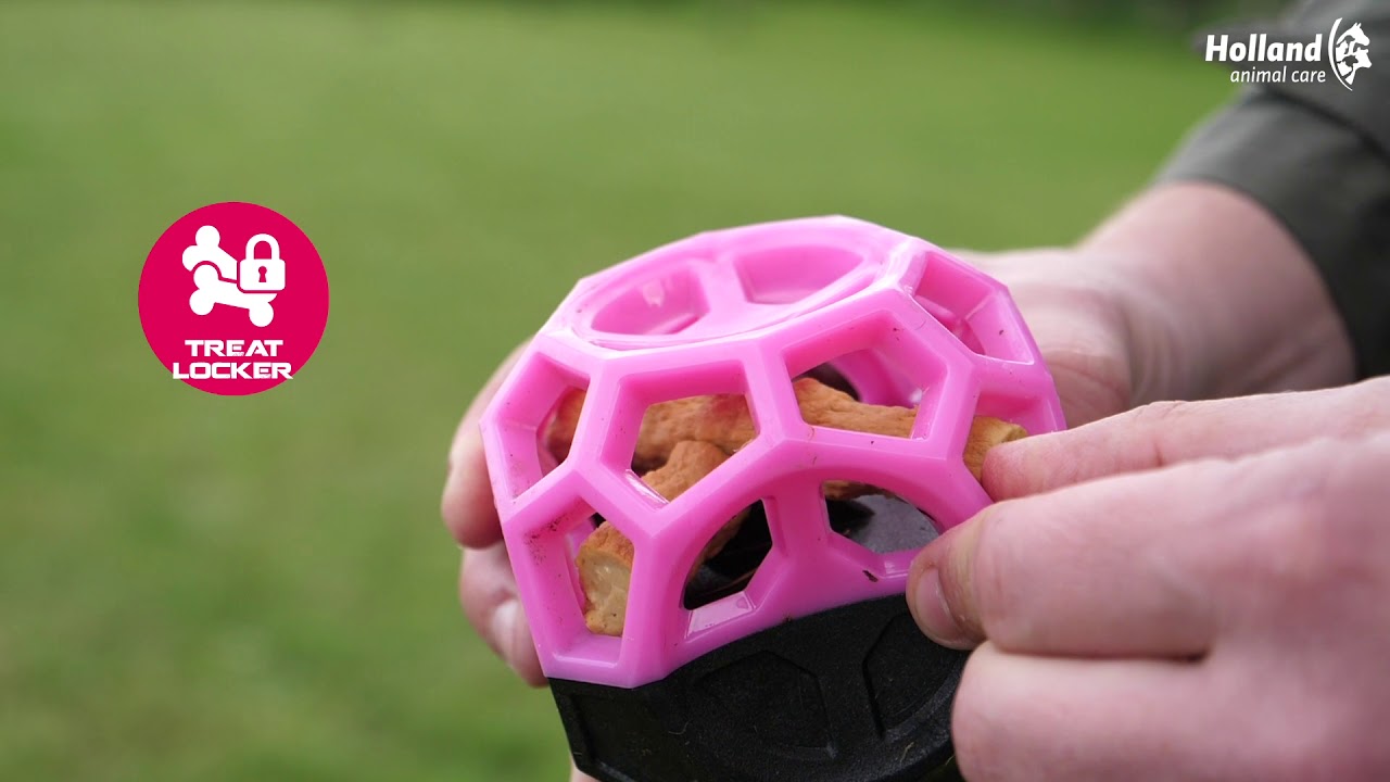 Dog Comets Moonstone Traktatiekubus Roze 2025 Dog Comets Moonstone Traktatiekubus Roze - Afbeelding 6