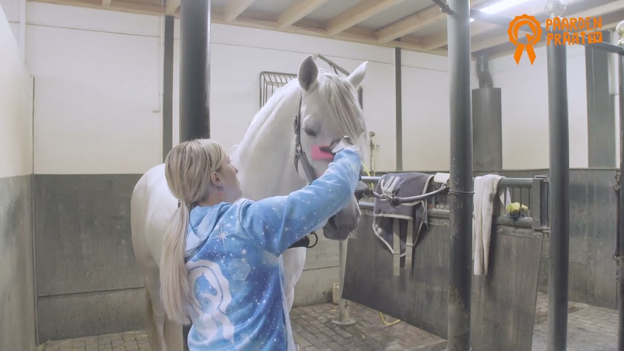 Paardenpraat Grooming Brush Roze M 2025 Paardenpraat Grooming Brush Roze M - Afbeelding 2