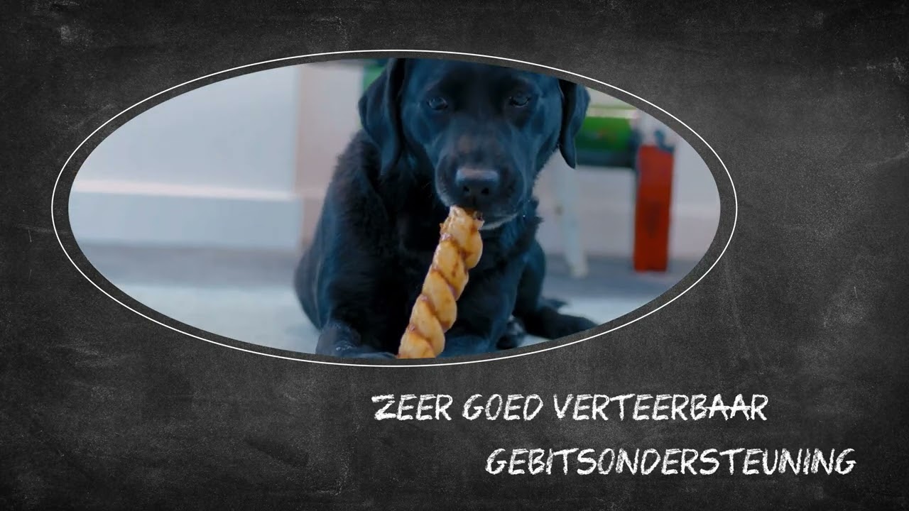 Luna's Choice Collagen Chews Stick Zalm L 2025 Luna's Choice Collagen Chews Stick Zalm L - Afbeelding 5