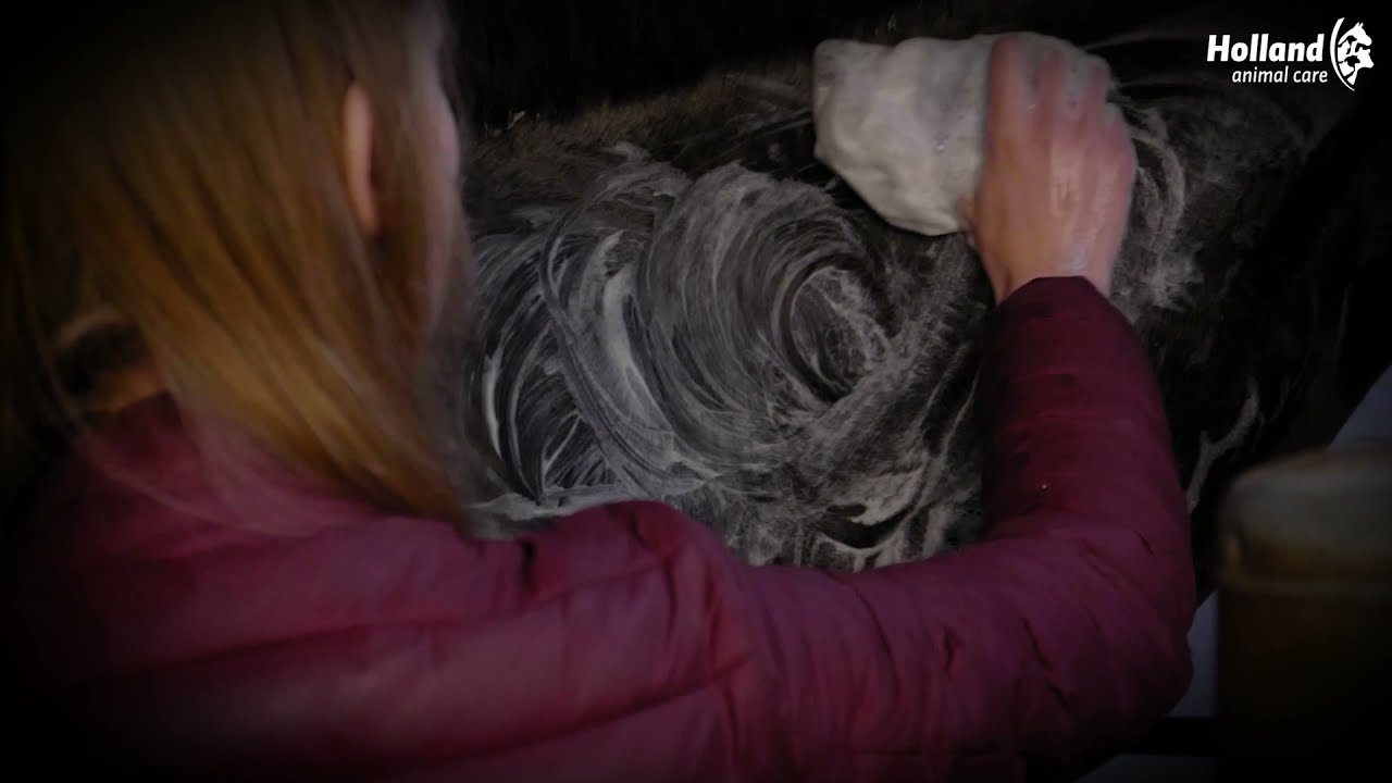 Excellent Horse Hi Gloss Shampoo Bar Appel 60 g 2025 Excellent Horse Hi Gloss Shampoo Bar Appel 60 g - Afbeelding 2