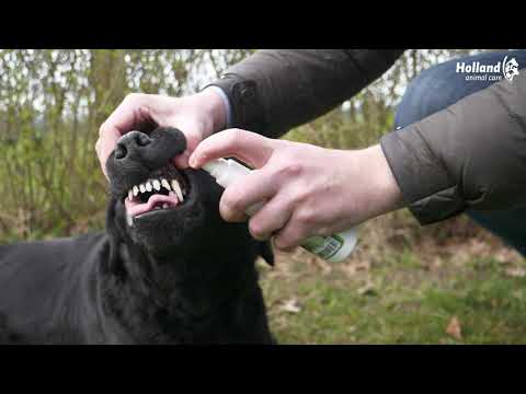 Excellent Pets Dental Oral Spray 150 ml 2025 Excellent Pets Dental Oral Spray 150 ml - Afbeelding 2