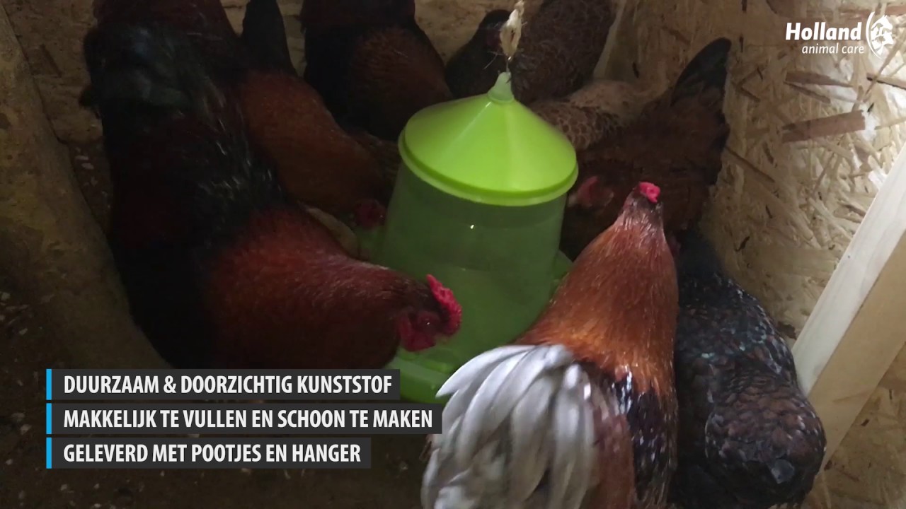 Gaun Pluimvee Voertoren Limoengroen 2 kg 2025 Gaun Pluimvee Voertoren Limoengroen 2 kg - Afbeelding 3