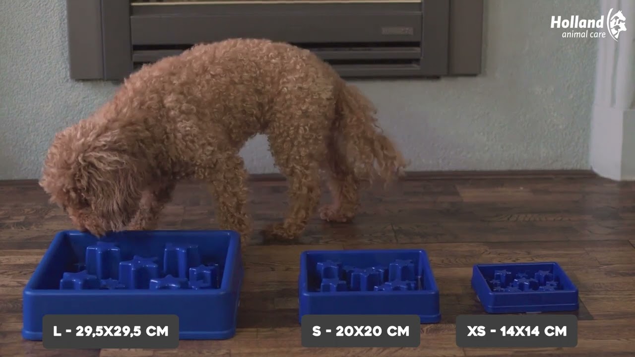 Eat Slow Live Longer Star Groen XS 2025 Eat Slow Live Longer Star Groen XS - Afbeelding 2