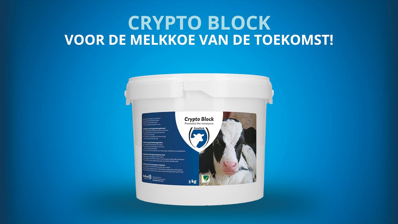 Excellent Crypto Block 2,4 kg 2025 Excellent Crypto Block 2,4 kg - Afbeelding 2