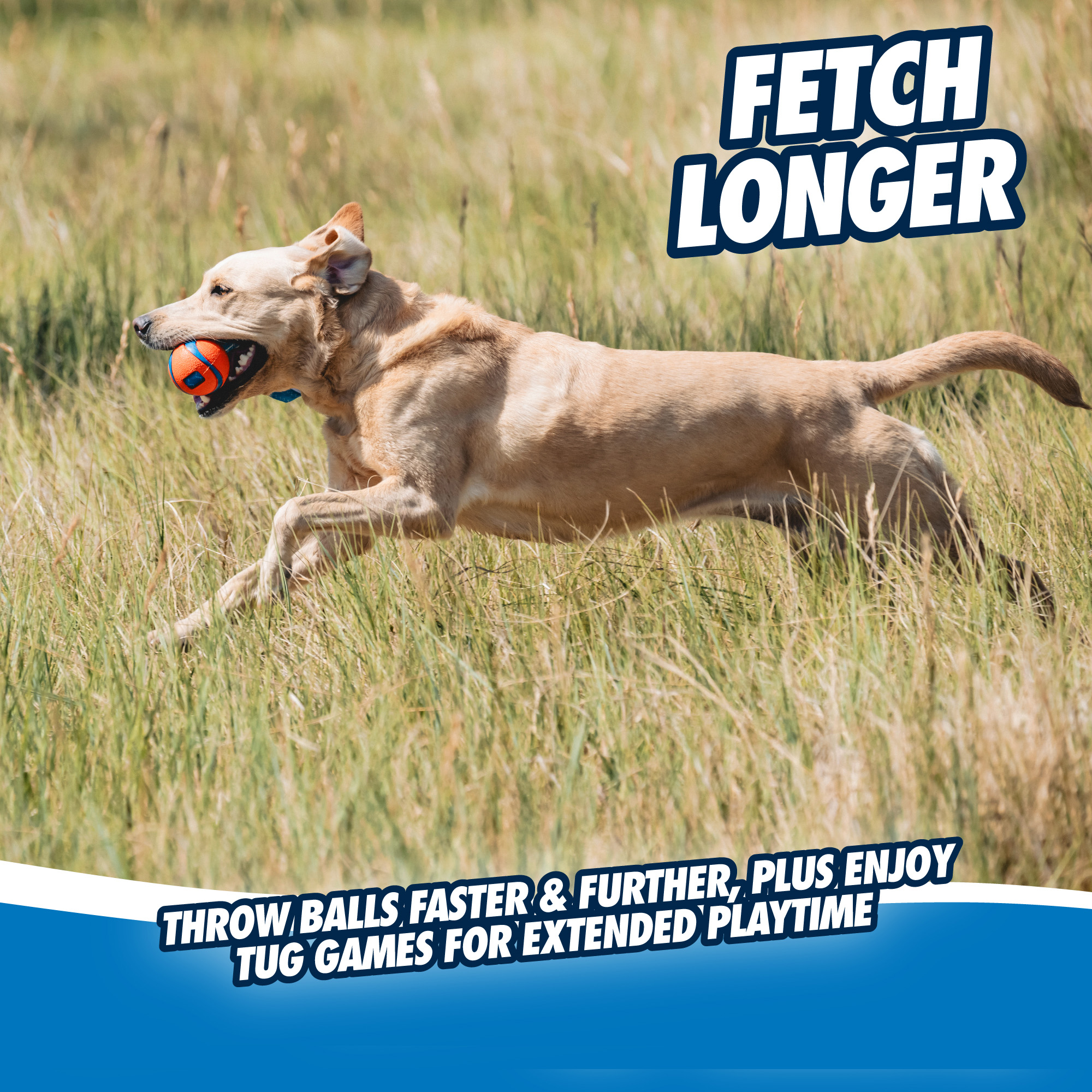 Chuckit! Ultra Tug L 2025 Chuckit! Ultra Tug L - Afbeelding 4