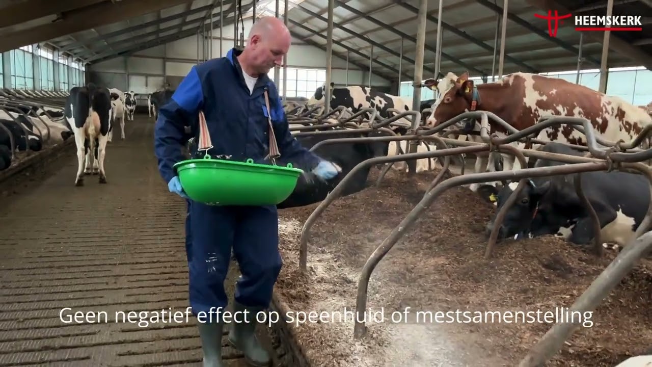 BoxClean 25 kg 2025 BoxClean 25 kg - Afbeelding 2