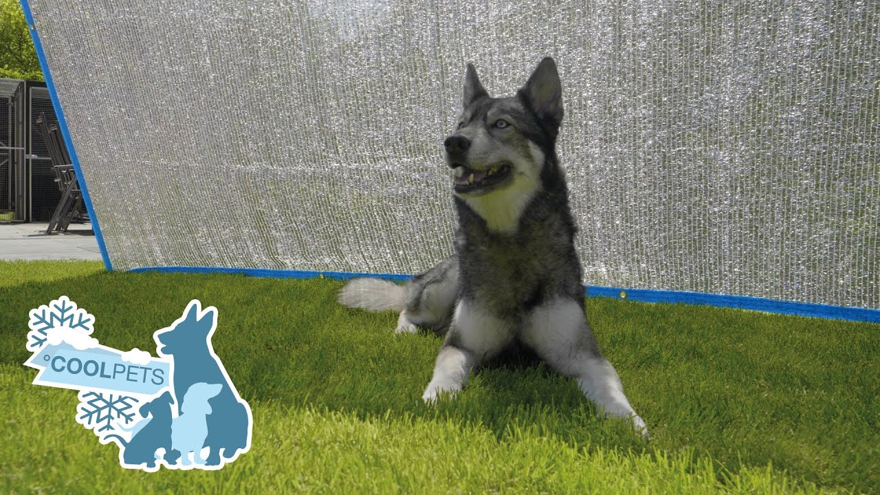 CoolPets Shade Mate 2025 CoolPets Shade Mate - Afbeelding 2